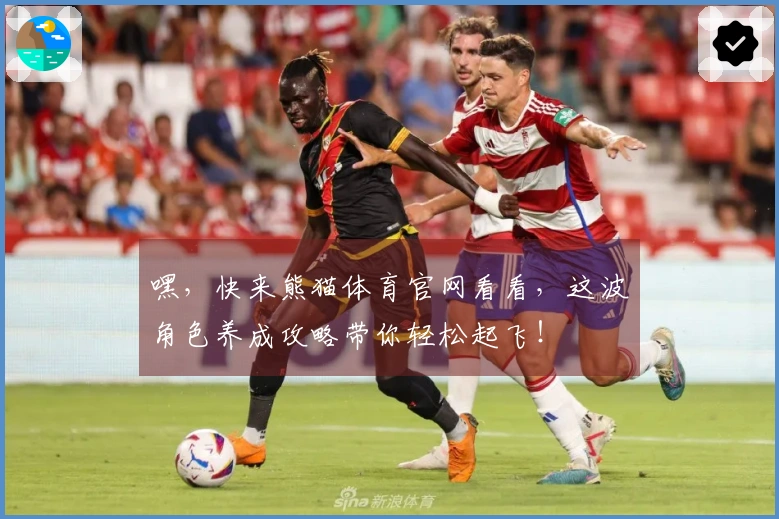 嘿，快来熊猫体育官网看看，这波角色养成攻略带你轻松起飞！