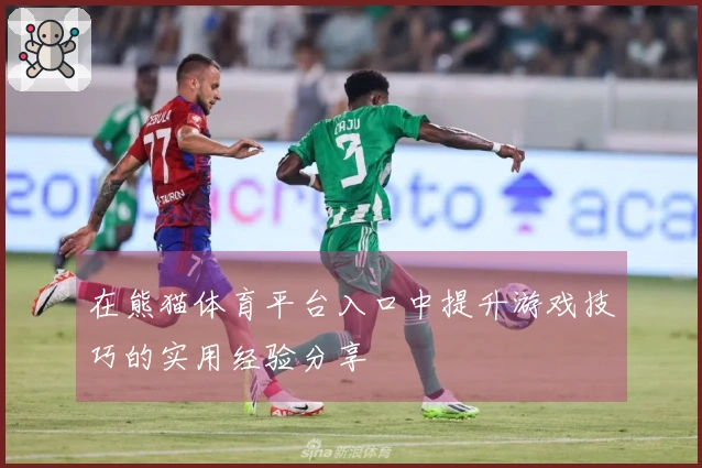 在熊猫体育平台入口中提升游戏技巧的实用经验分享