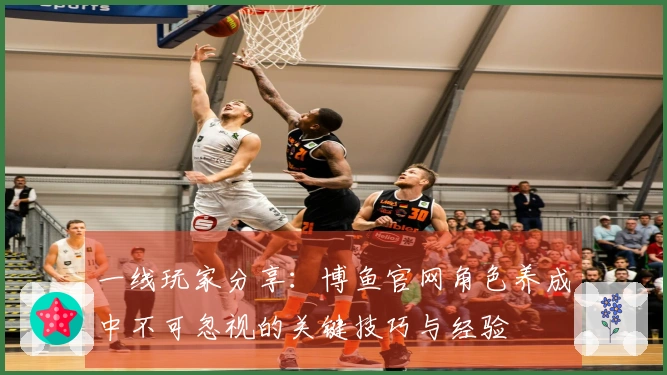 一线玩家分享：博鱼官网角色养成中不可忽视的关键技巧与经验