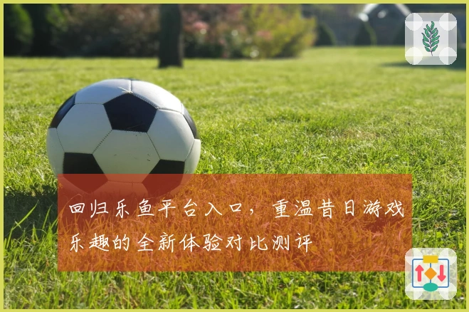 回归乐鱼平台入口，重温昔日游戏乐趣的全新体验对比测评